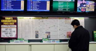 Как начать делать ставки на спорт