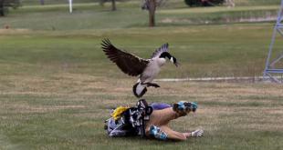 Исаак Кулинг