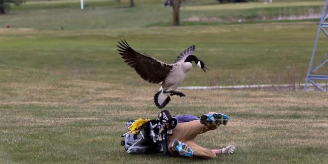 Исаак Кулинг