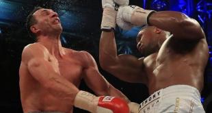 ставки на Бокс