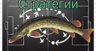 Стратегия Щукина