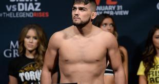 гастеллум тиль