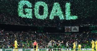 Краснодар Тамбов