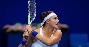 Прогноз и ставка на теннисный матч Арина Соболенко — Симона Халеп