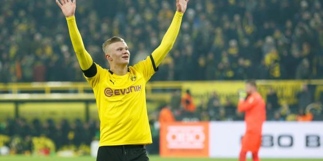 Байер Боруссия Д